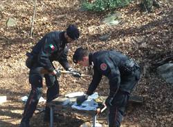 Altri tre arresti per droga nei boschi