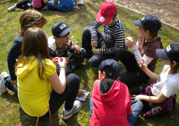 ARTISTI DI NATURA!  laboratorio per bambini 7-12 anni