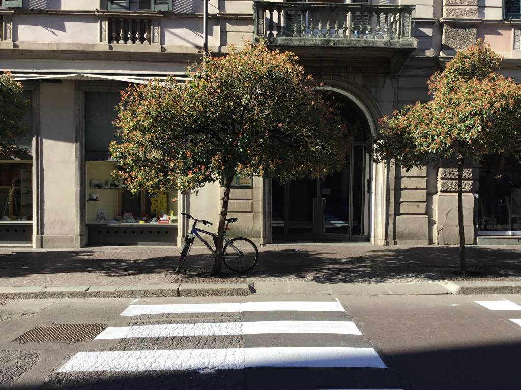 Ma le hanno studiate con un senso?