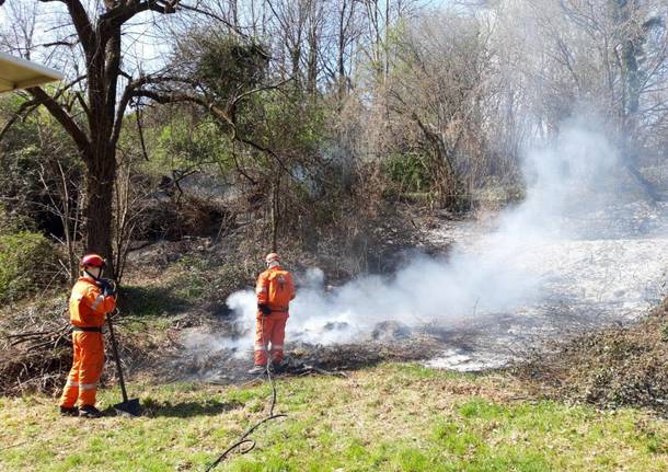 Sterpaglie in fiamme a Cocquio