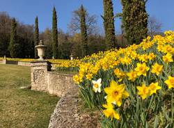 In tanti a Villa della Porta Bozzolo per le giornate Fai di Primavera