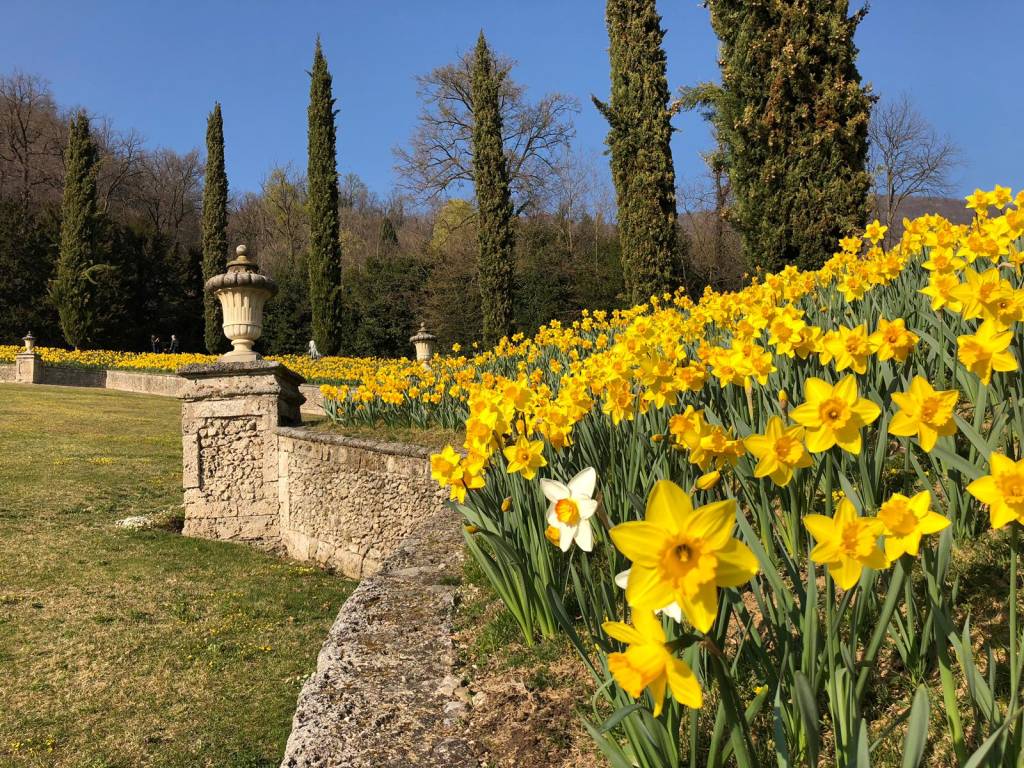 In tanti a Villa della Porta Bozzolo per le giornate Fai di Primavera