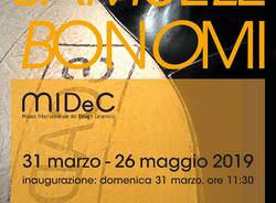 focus SAMUELE BONOMI