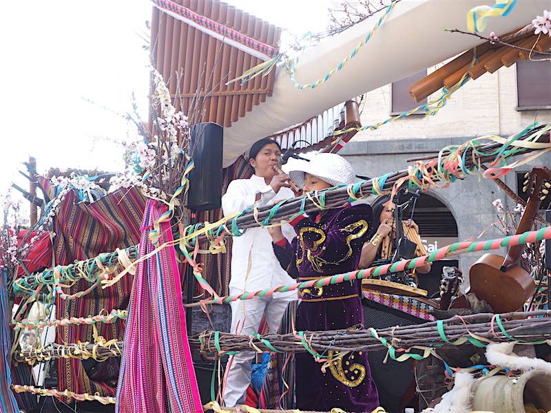 carnevale bosino 2019