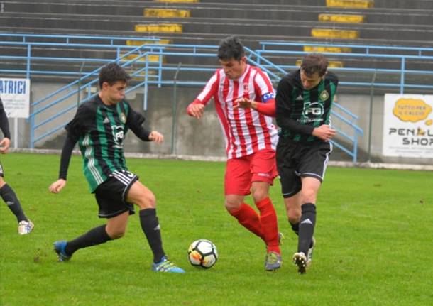 castellanzese busto 81 calcio dilettanti