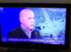 Daniele Zanzi a Uno mattina, a parlare di alberi abbattuti