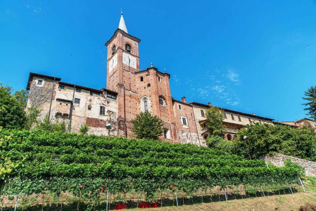 Don Antonio Mazzi presenta il vino della Collegiata 2017