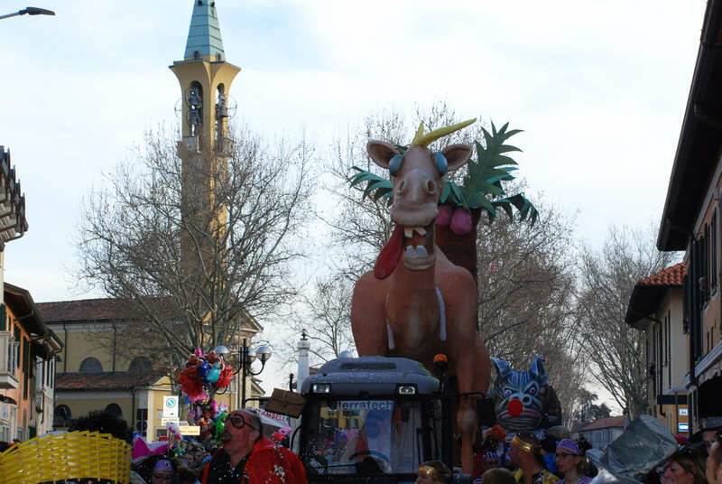 DSC 5213