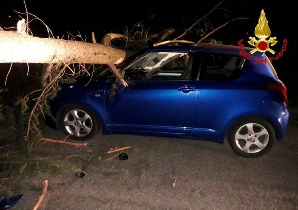 Vento forte nel Varesotto: 97 interventi di soccorso tecnico urgente.