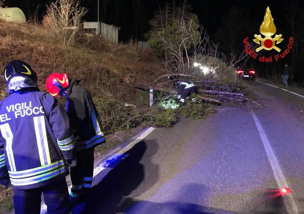 Forte vento, decine di interventi dei Vigili del Fuoco 