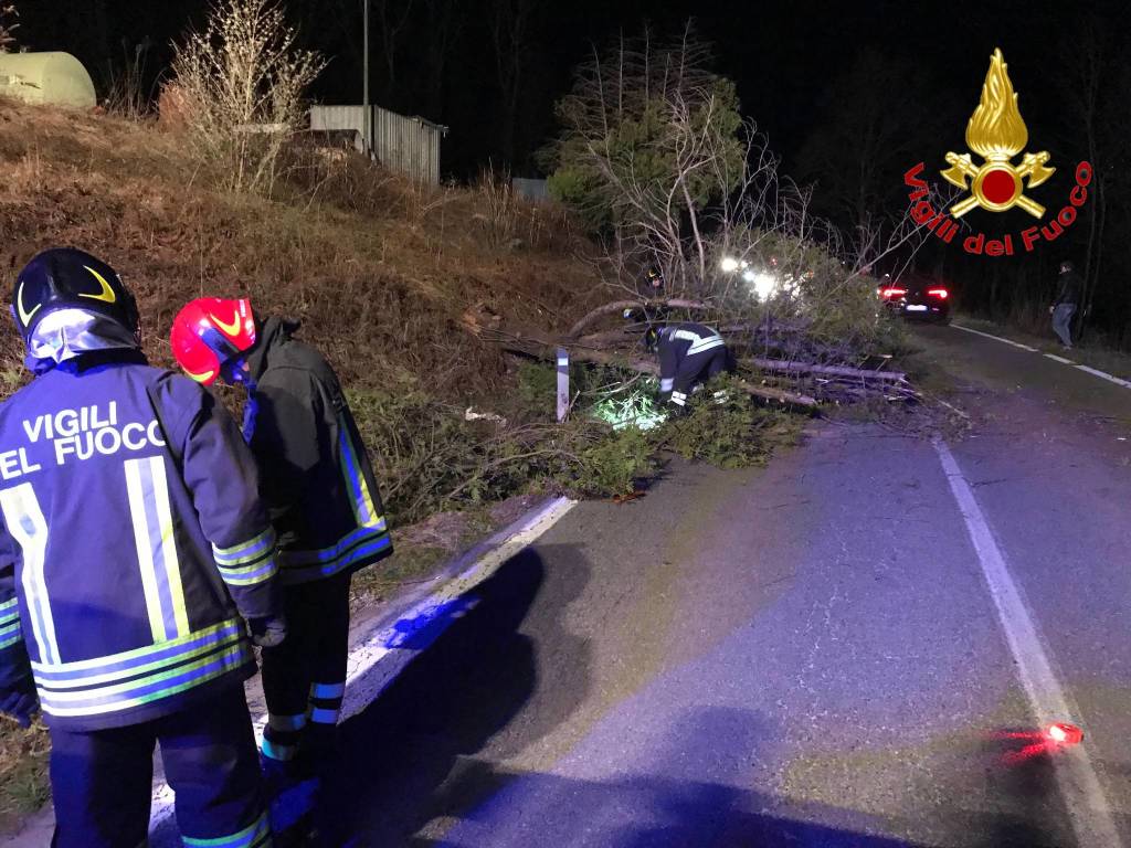Forte vento, decine di interventi dei Vigili del Fuoco 