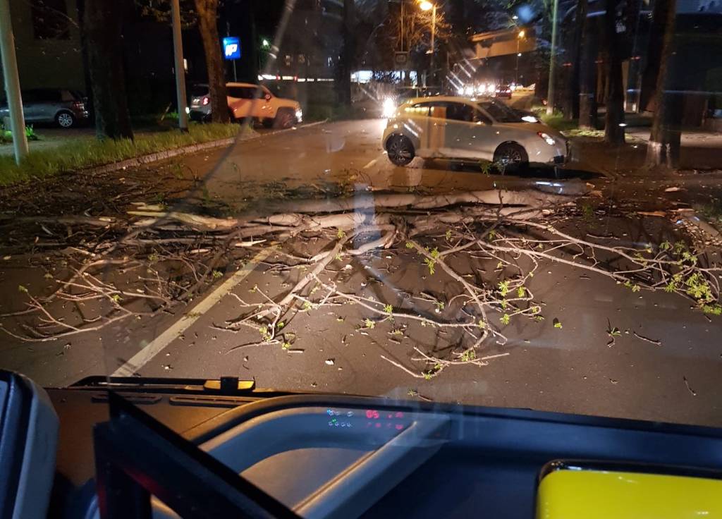 albero caduto busto arsizio