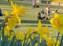 Giornate Fai di Primavera, Villa Della Porta Bozzolo