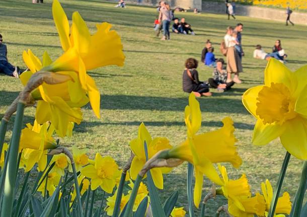 Giornate Fai di Primavera, Villa Della Porta Bozzolo