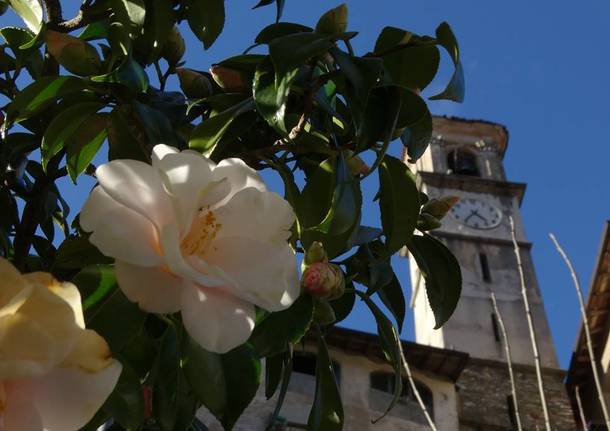 I piccoli borghi finalisti "raccontati" dai fotografi 5