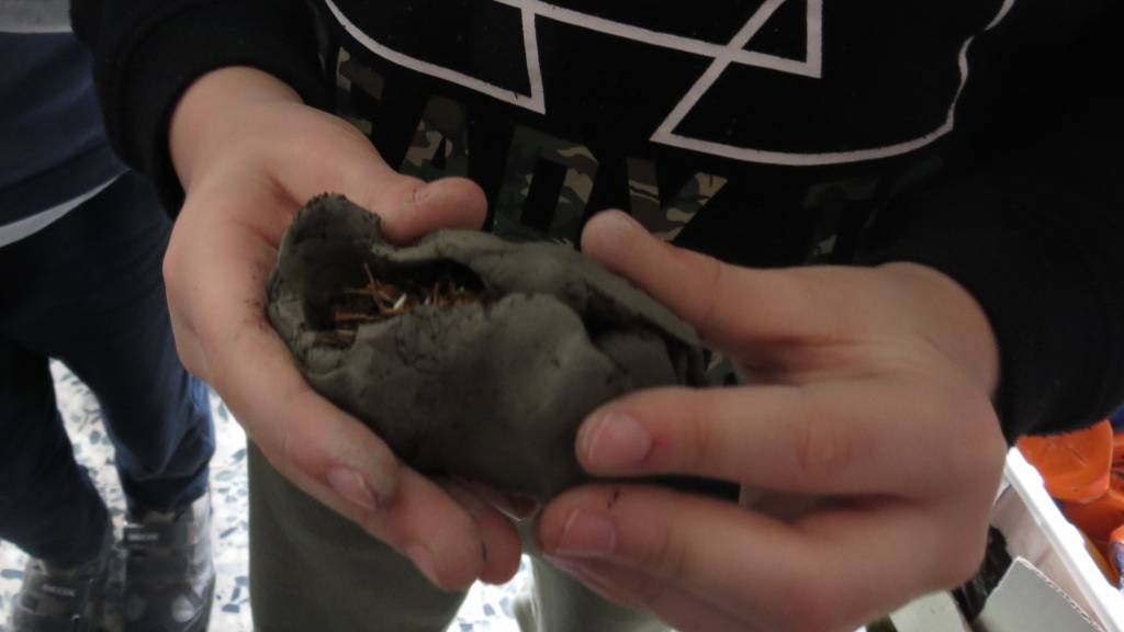 Il "Friday for future" delle scuole dell'istituto compresivo di Comerio