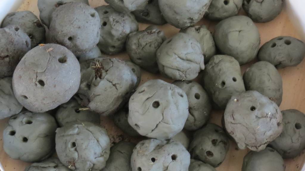 Il "Friday for future" delle scuole dell'istituto compresivo di Comerio