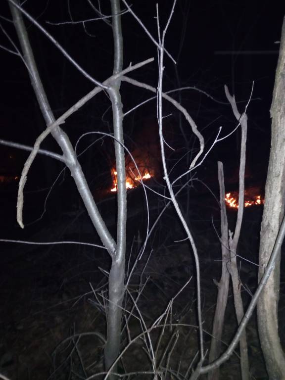 Incendio boschivo bolladello  - marzo 2019 