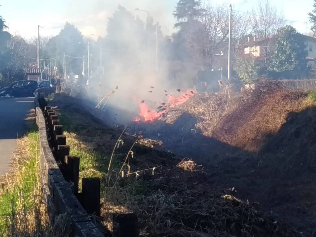 Incendio torrente Rile Cassano Magnago