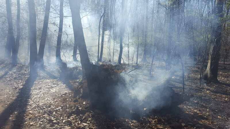 IncendioDairago  2 