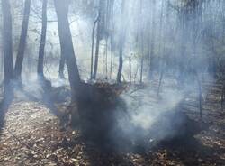 IncendioDairago  2 