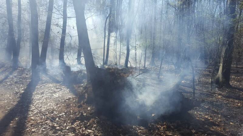 IncendioDairago  2 