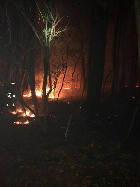 IncendioDairago  3 
