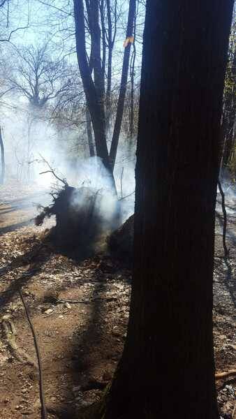 IncendioDairago  3 
