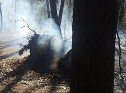 IncendioDairago  3 
