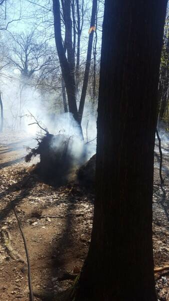 IncendioDairago  3 