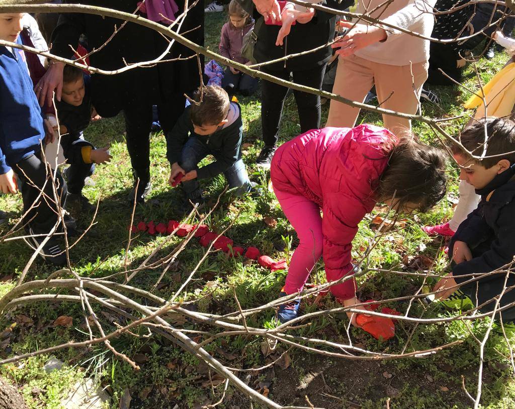 Kaki tree project 2019