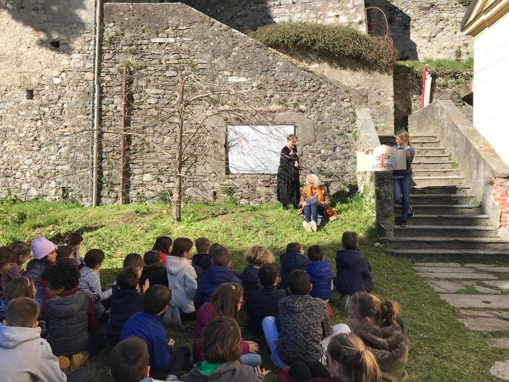 Kaki tree project 2019