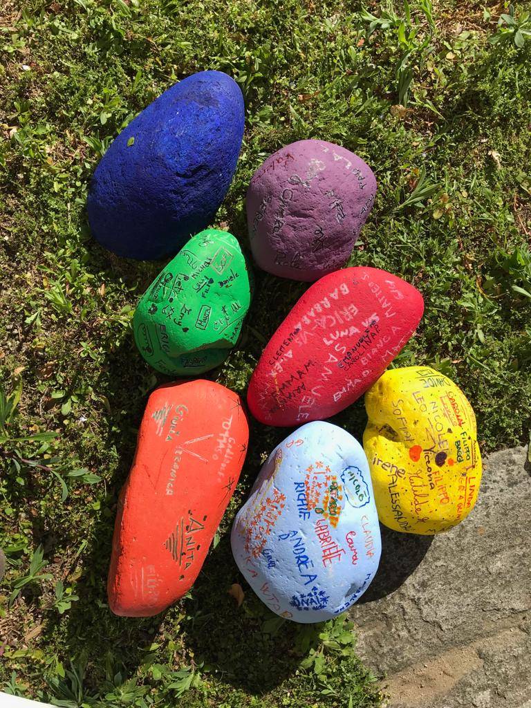 Kaki tree project 2019