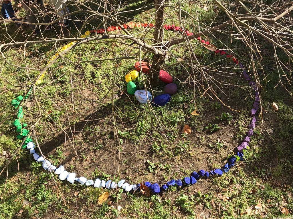 Kaki tree project 2019