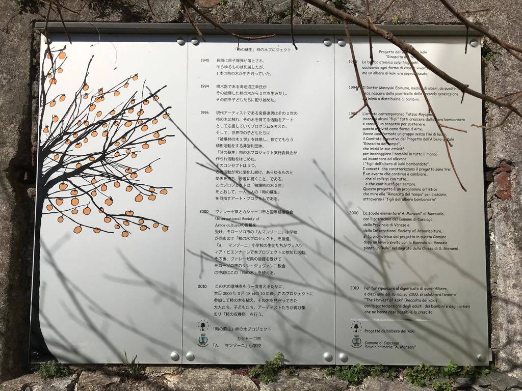 Kaki tree project 2019