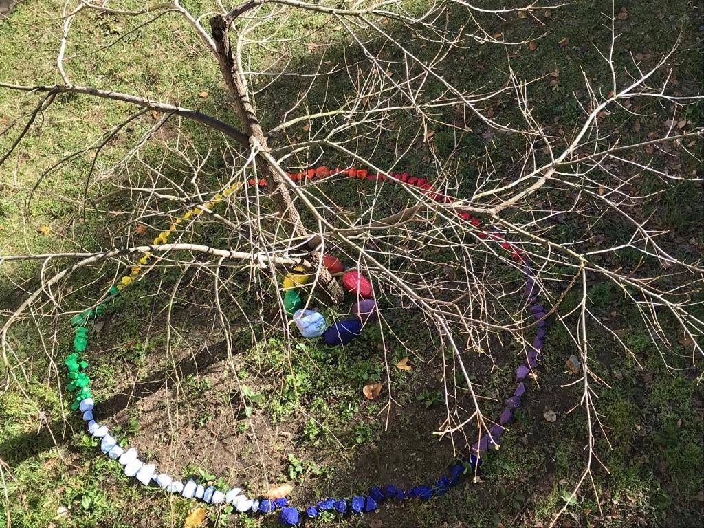 Kaki tree project 2019