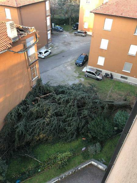 legnanese vento95face26 ce6f 461e 9609 6756385e72fa