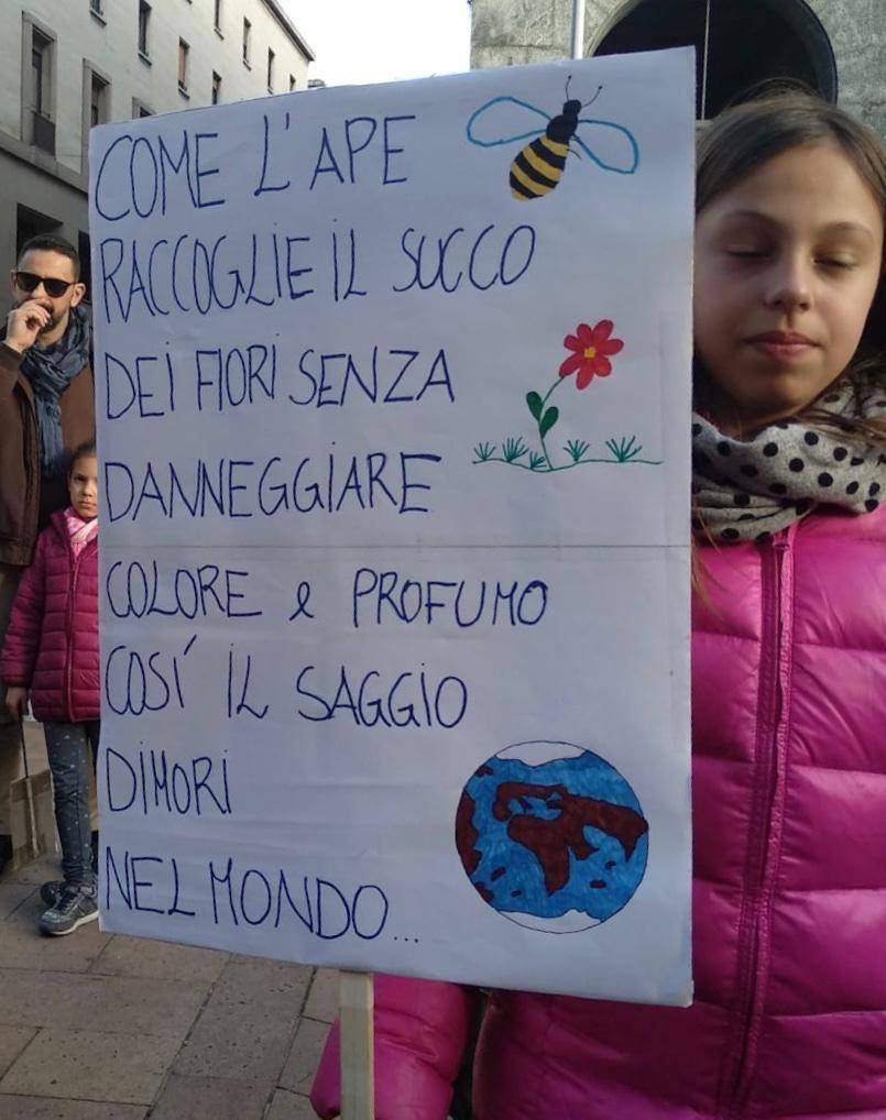 Manifestazione Friday for Future a Varese