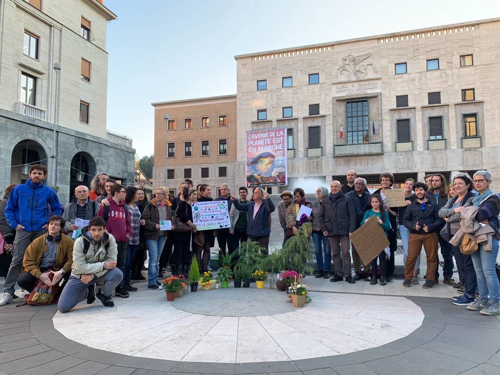 Piante per #fridayforfuture