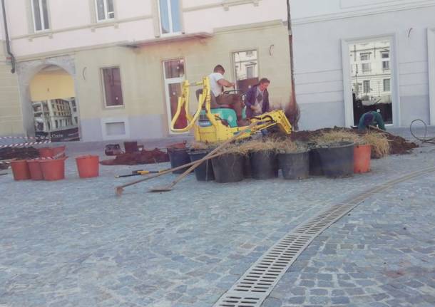 piazza vittorio emanuele busto arsizio lavori aiuole