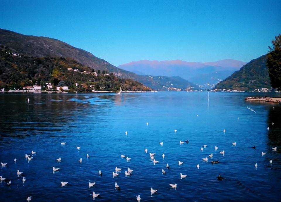 Porto Ceresio - foto di Goffredo Pontrandolfo