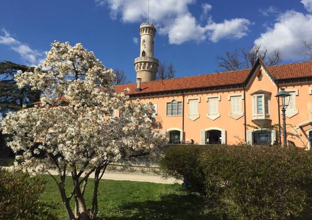 primavera a villa Mirabello Fiorella Pozzi