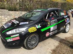 Rally dei Laghi, vetture all'assistenza