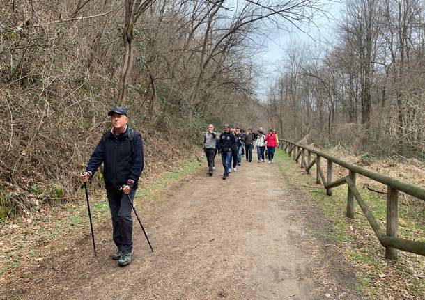 Il Rotary di Tradate sulle tracce della via Francisca