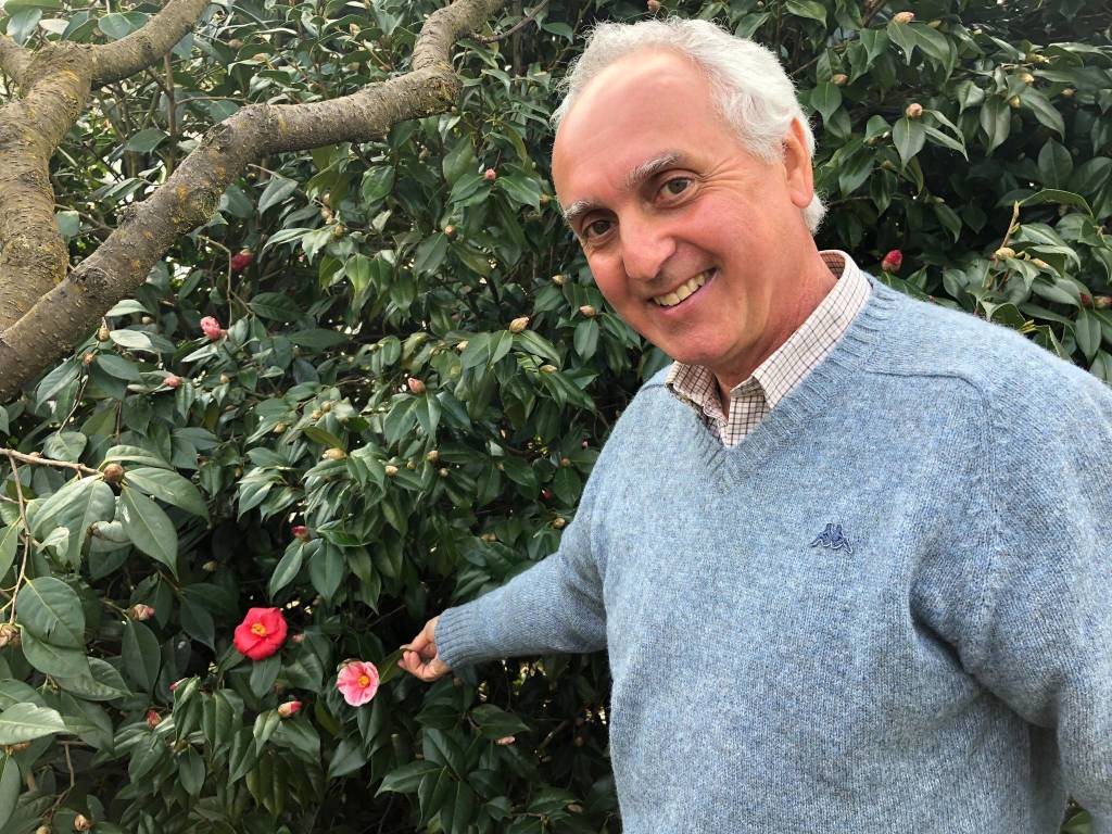 Tiziano Genoni e la sua collezione di camelie 