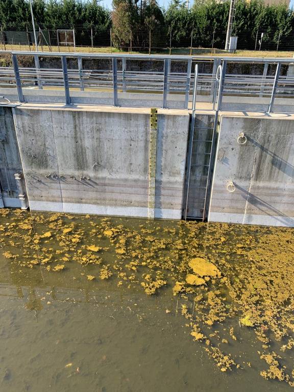 Torna l'acqua nel Naviglio