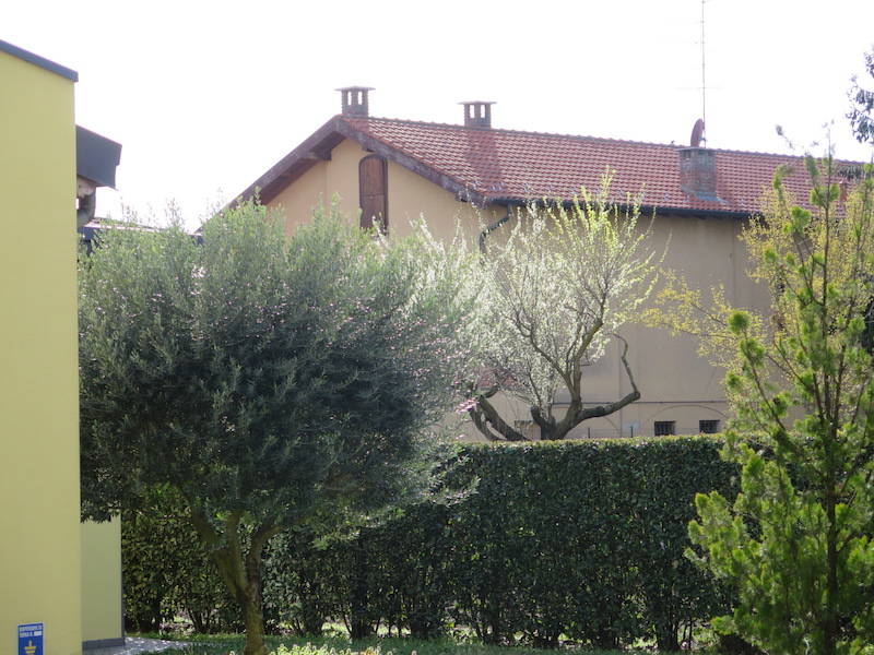 Tornavento - piccoli borghi 2019