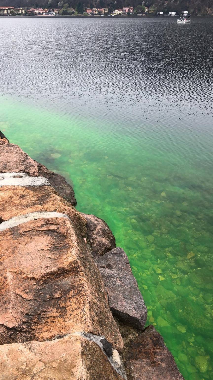 Acqua verde a Porto Ceresio