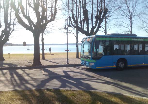 autobus autolinee varesine