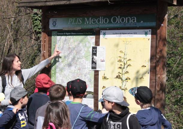 bambini scuola carducci olgiate olona fiume